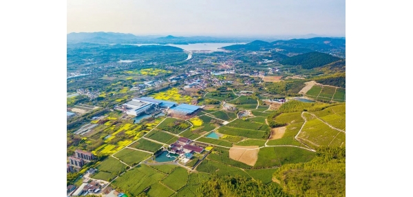 美天垃圾桶來(lái)到宜興市茂花村